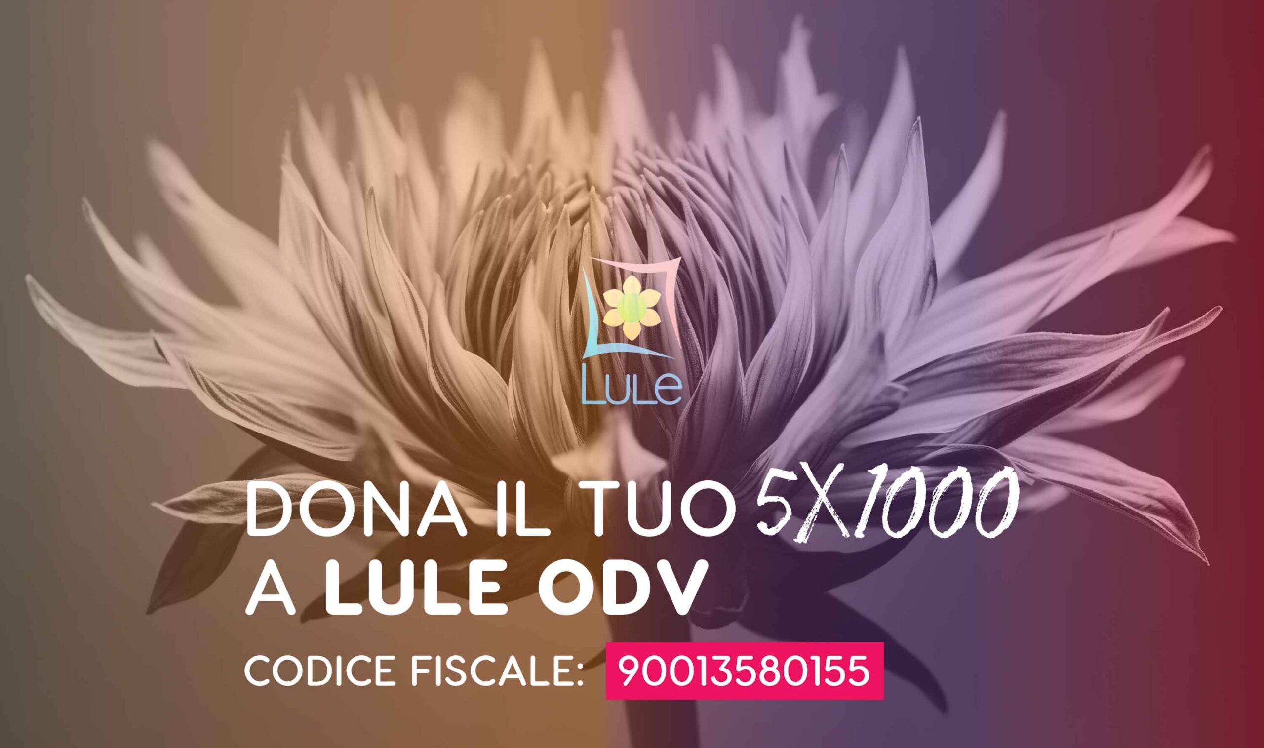 5x1000
